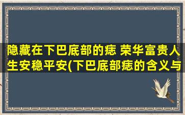 隐藏在下巴底部的痣 荣华富贵人生安稳平安(下巴底部痣的含义与命运详解：荣华富贵、人生安稳与平安！)